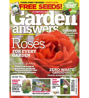 Garden Answers October 2024