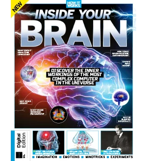 How It Works Inside Your Brain 5th Edition 2024