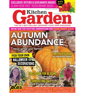 Kitchen Garden October 2024