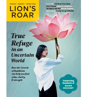 Lions Roar November 2024