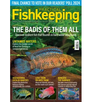 Practical Fishkeeping October 2024