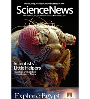 Science News 5 October 2024