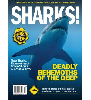 Sharks Deadly Behemoths of the Deep 2024