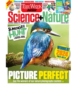 The Week Junior Science Nature Issue 79 October 2024