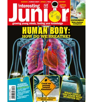 Very Interesting Junior Issue 60 2024