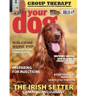Your Dog October 2024