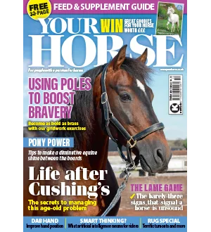 Your Horse October 2024