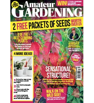 Amateur Gardening 26 October 2024