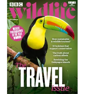 BBC Wildlife Magazine November 2024