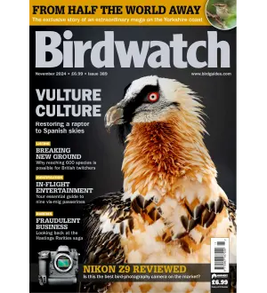 Birdwatch UK November 2024