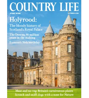 Country Life UK October 16 2024