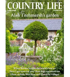 Country Life UK October 30 2024