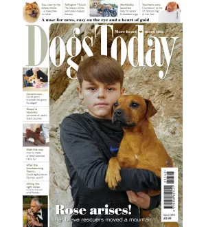 Dogs Today UK Issue 363 2024