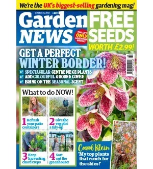 Garden News October 26 2024