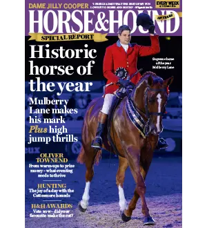 Horse Hound 17 October 2024