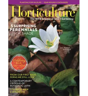Horticulture November December 2024