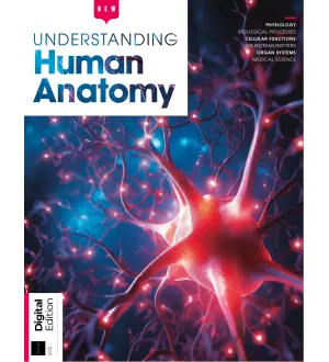 How It Works Understanding Human Anatomy 2nd Edition 2024