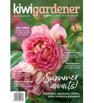 Kiwi Gardener November 2024