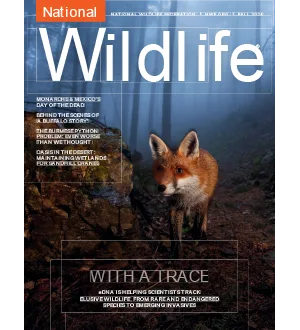 National Wildlife Fall 2024