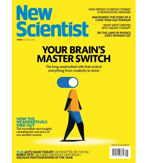 New Scientist International Edition 12 October 2024