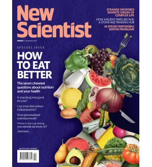 New Scientist International Edition 2 November 2024