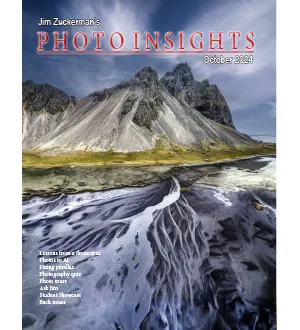 Photo Insights October 2024