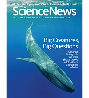 Science News November 2 2024