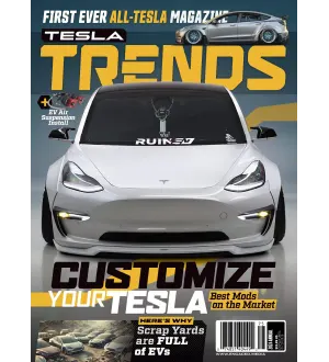 Tesla Trends Customize Your Tesla Annual 2024