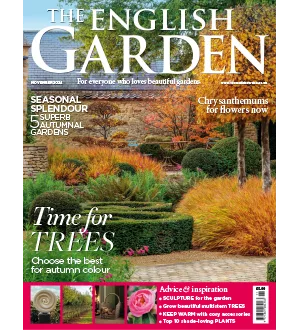 The English Garden November 2024
