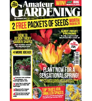 Amateur Gardening 9 November 2024