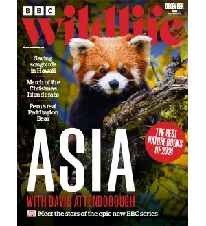BBC Wildlife Magazine December 2024