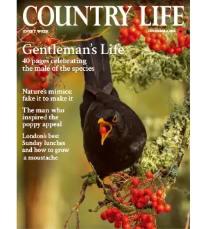 Country Life UK November 6 2024