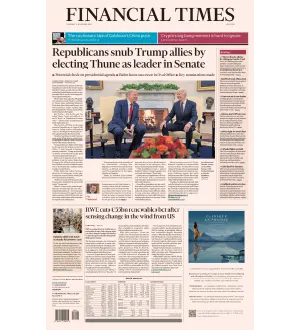 Financial TImes USA 14 November 2024