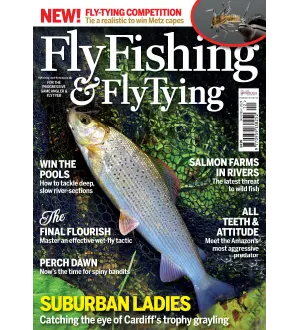 Fly Fishing Fly Tying December 2024