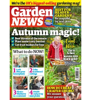 Garden News November 23 2024