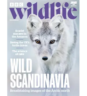 BBC Wildlife January 2025