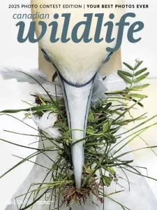 canadian wildlife 01 02 2025 freemagazines.top