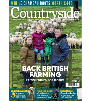 Countryside January 2025