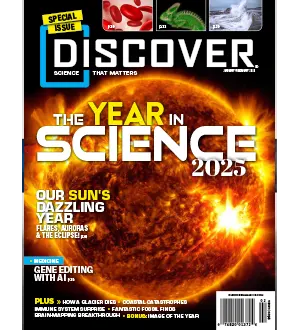 Discover January February 2025