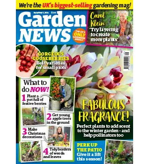 Garden News December 7 2024