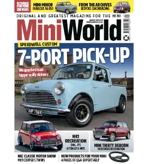 Mini World January 2025
