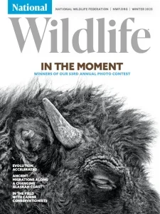national wildlife winter 2024 freemagazines.top