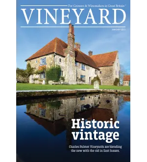 Vineyard January 2025