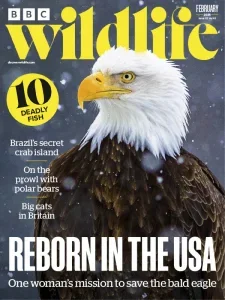 bbc wildlife 02 2025 freemagazines.top