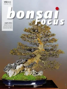 bonsai focus en 01 02 2025 freemagazines.top