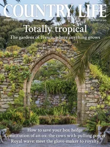 country life uk 01 15 2025 freemagazines.top