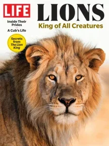 life lions king of all creatures 2024 freemagazines.top