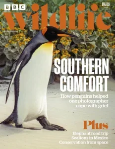 bbc wildlife magazine march 2025 freemagazines.top