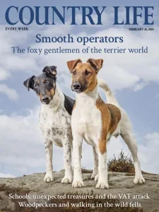 country life 02 26 2025 freemagazines.top