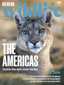bbc wildlife spring 2025 freemagazines.top